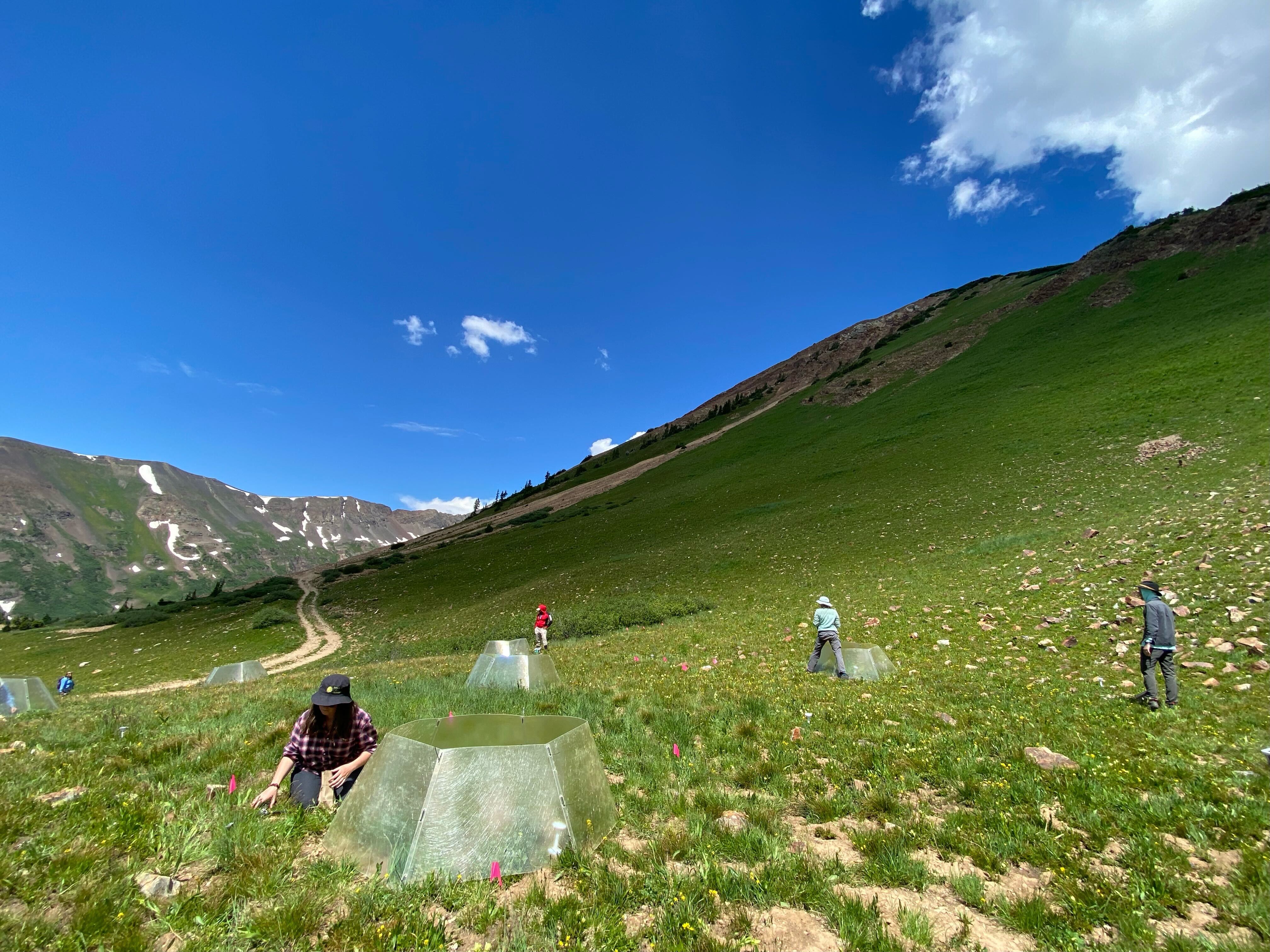 Effects of warming on montane ecosystems University of Michigan